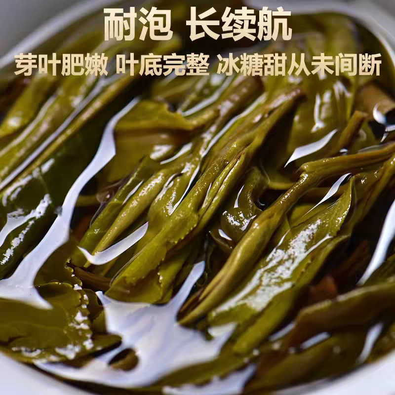 叶底完整